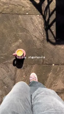 mini vlog 