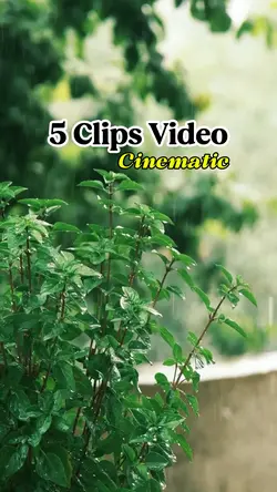 5 Clips Video