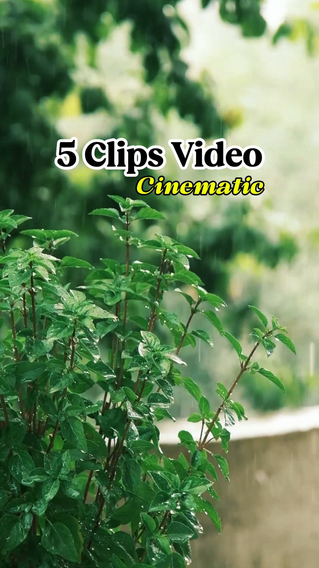 5 Clips Vidéo