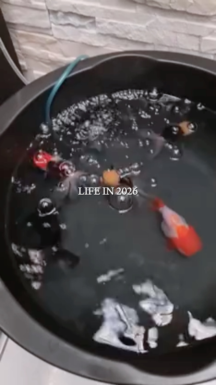 Life In 2026