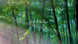 Back To Nature HD