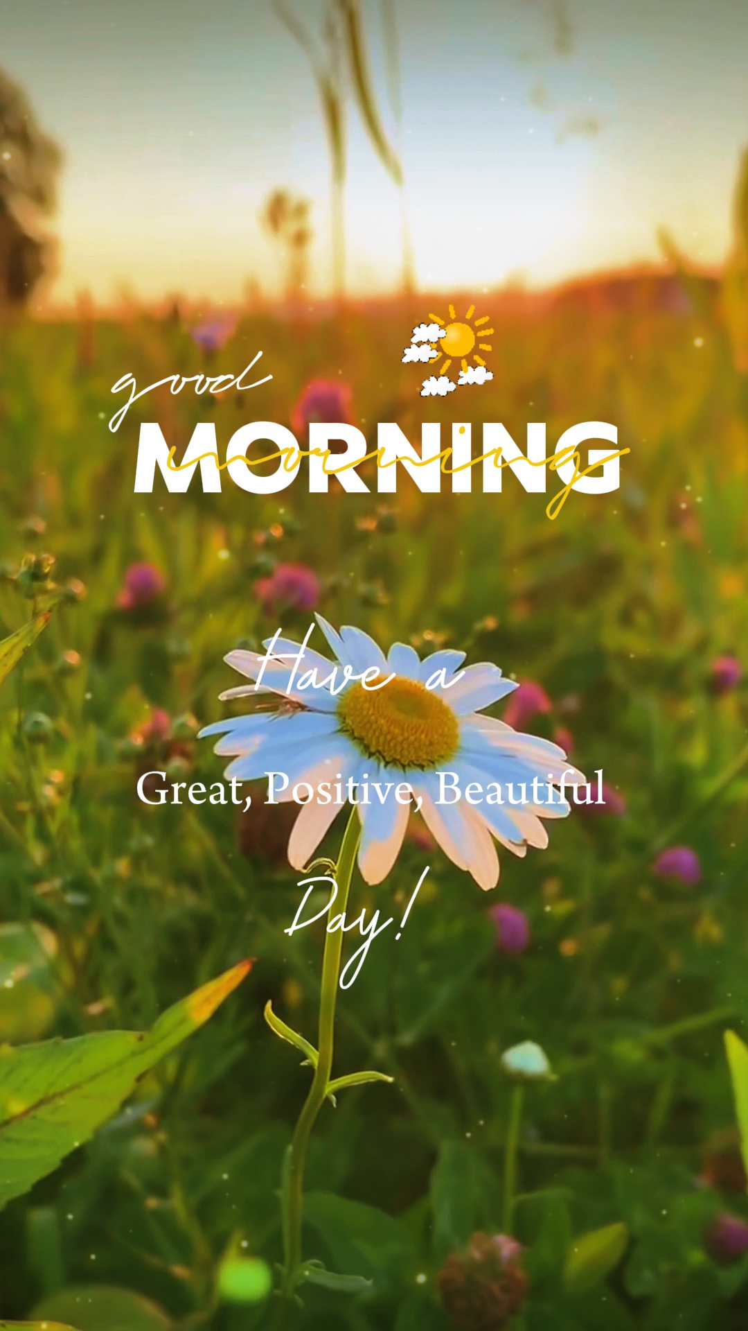 Good Morning 🤍