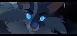 WarriorCats clip