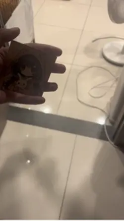 小卡轉場(?