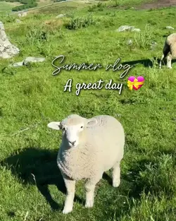 Summer vlog 