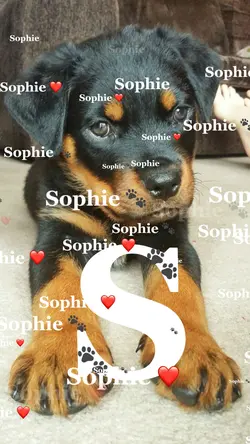 Dog Letter+Ribbon 🐾