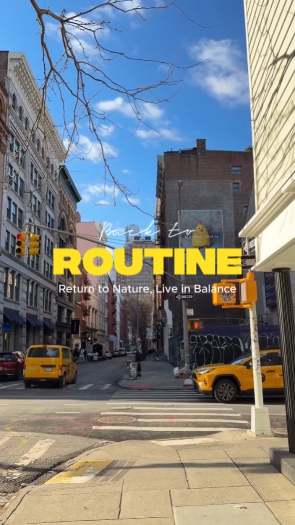 Back To Routine
