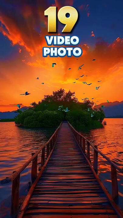 19 video o foto 