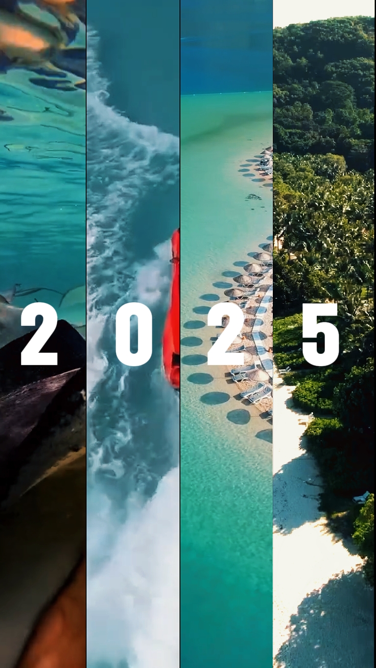 2025 Zusammenfassung