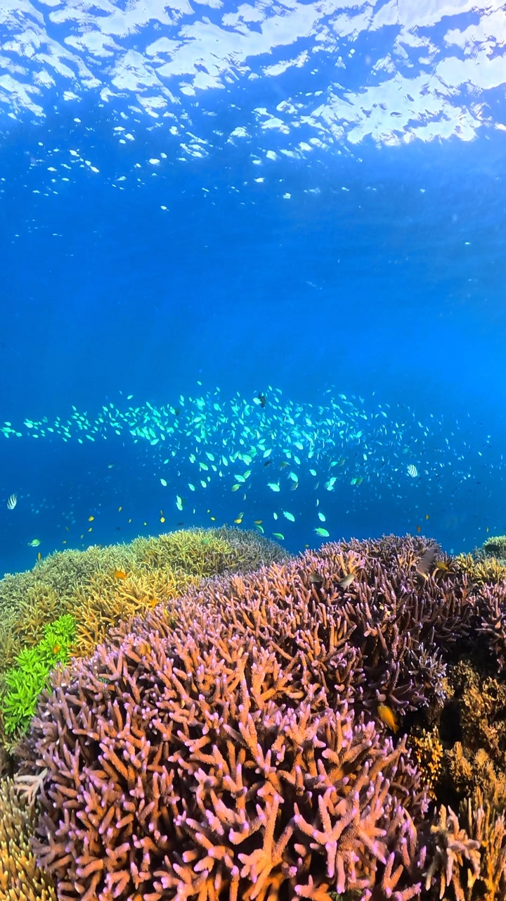 Underwater 