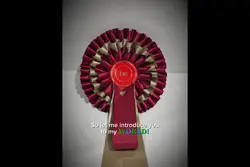 MY WORLD - my pics!!