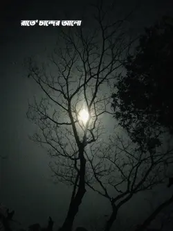 রাতে চাঁন্দের আলো