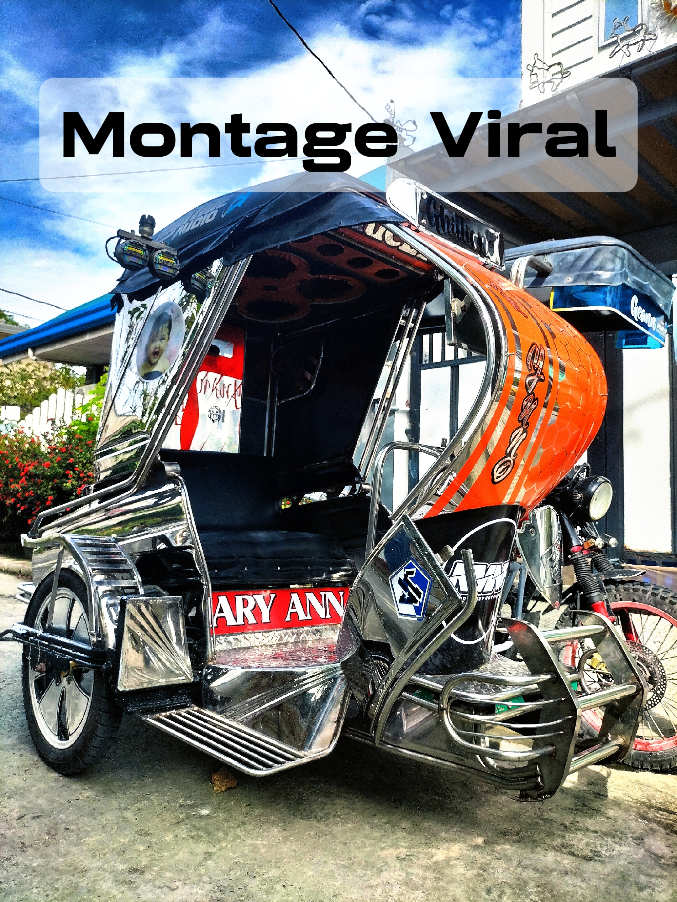 Montaje Viral