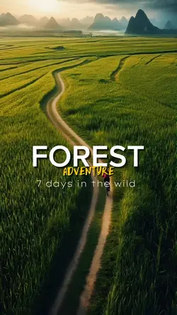 FOREST ADVENTURE