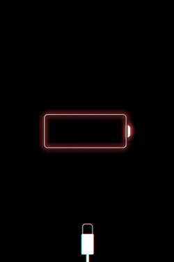 •Nouveau modèle•