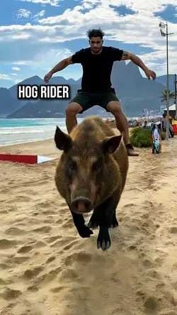 hog rider Ai