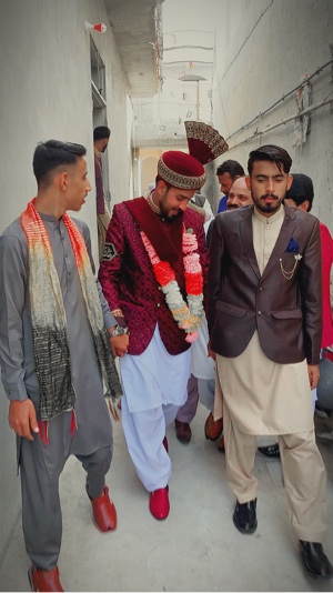 Shadi template 