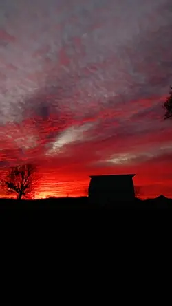 Barn Lapse