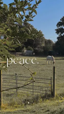 Peace calm aesthetic