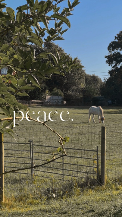 Paz estética calma