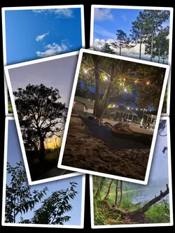 6Pic Trend Aesthetic