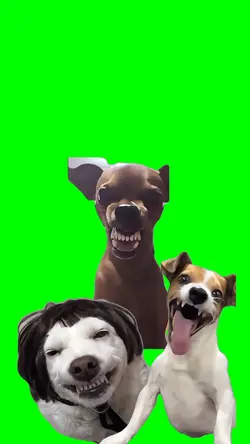 perros riendo