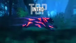 Panther Intro Top