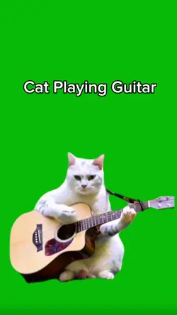 Cat Playing Guitar