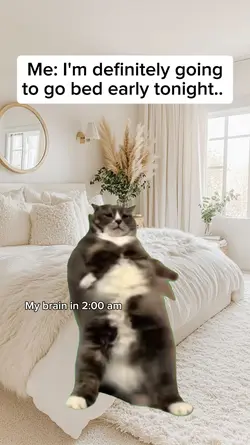 Cat dance meme