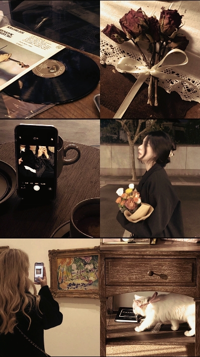 vintage 6 pict 