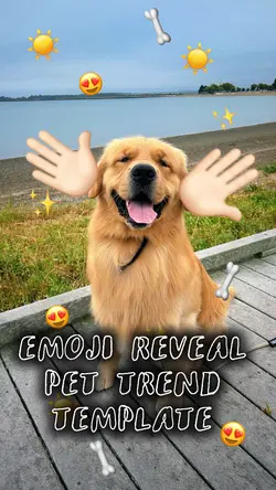 Pet reveal 😍