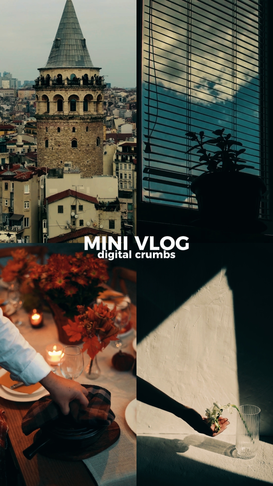 US PRO 3 mini vlog