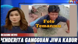 Meme Berita Orgil 