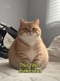 Fat cat
