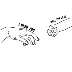 I need you 🐱