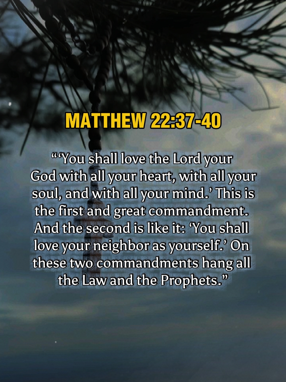 Matthew