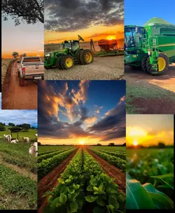 Agro 