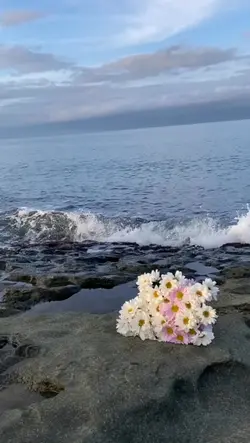 slowmo