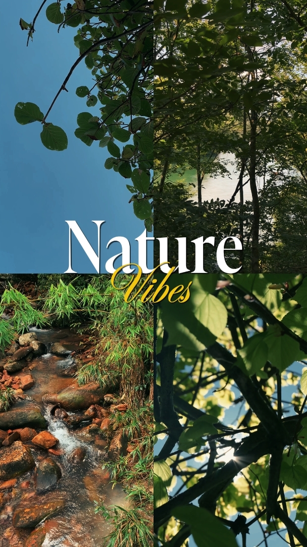 NATURE VIBES