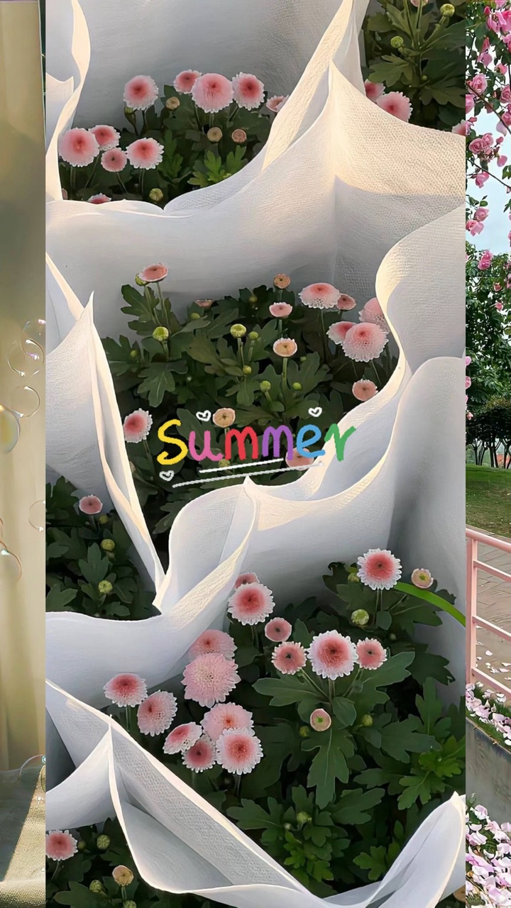 Sommerfotos