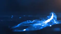 Opening