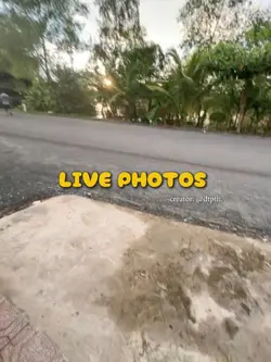 live photos
