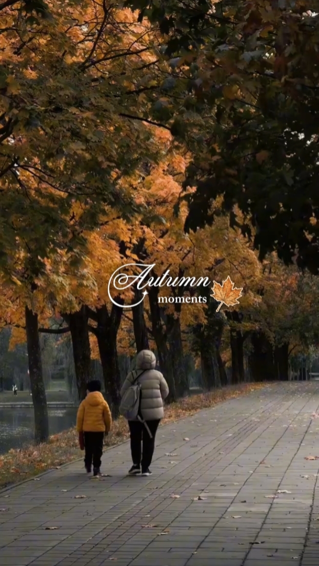 autumn moments