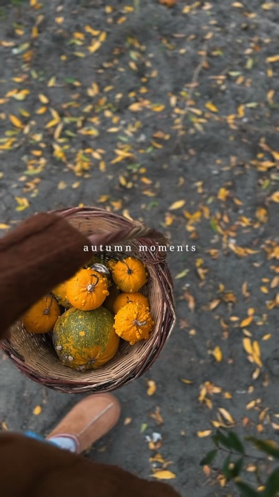 autumn moments 