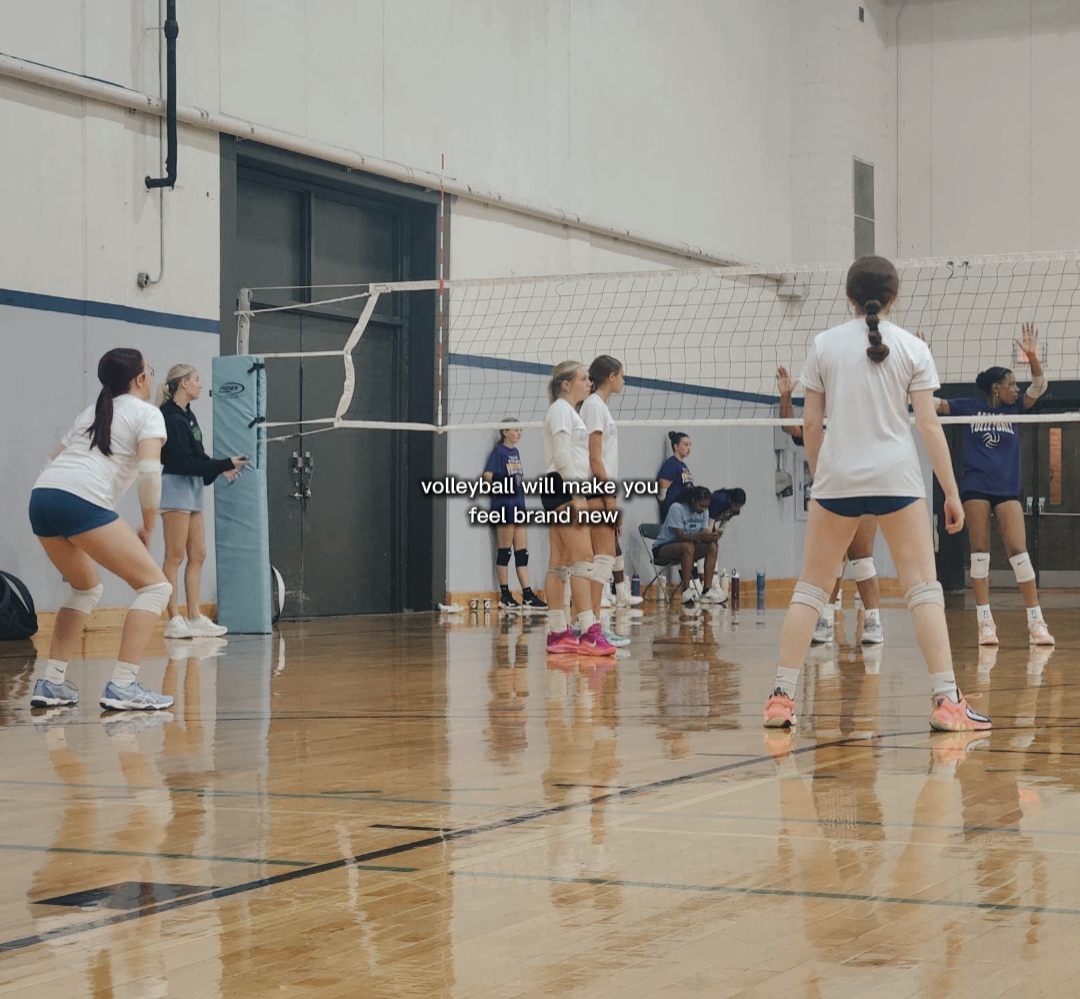 volleyball 