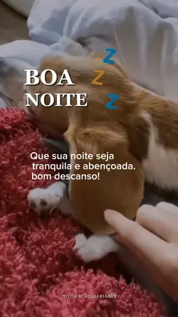 BOA NOITE!