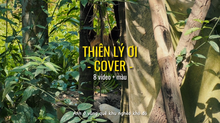 Capa de Thiên lí