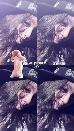 nomir jj kucing