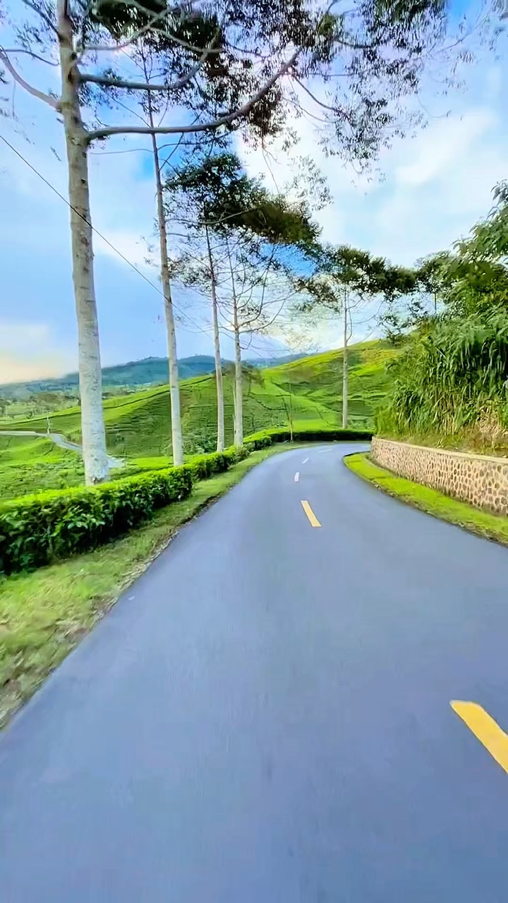6 clip nature travel