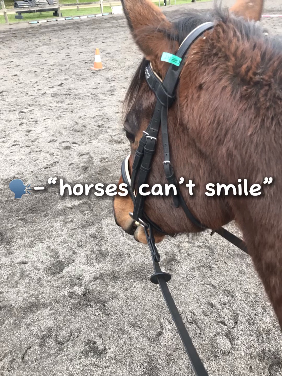Chief’s smile was 